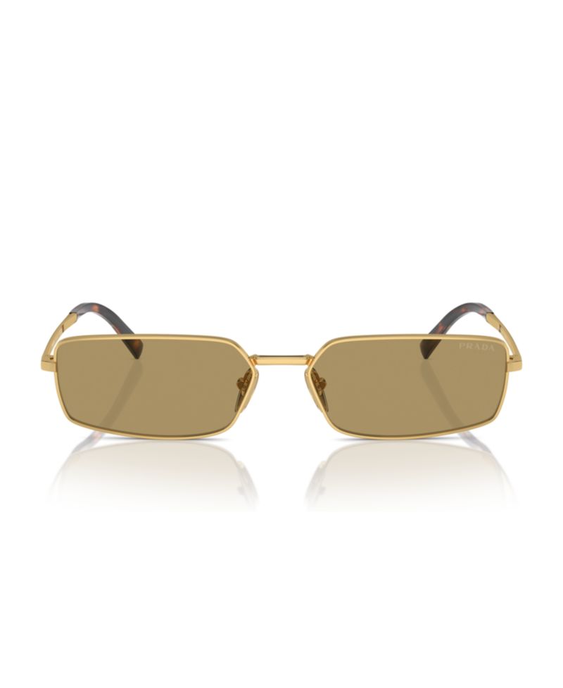 Signature Rectangular Women's Sunglasses, PR A60S