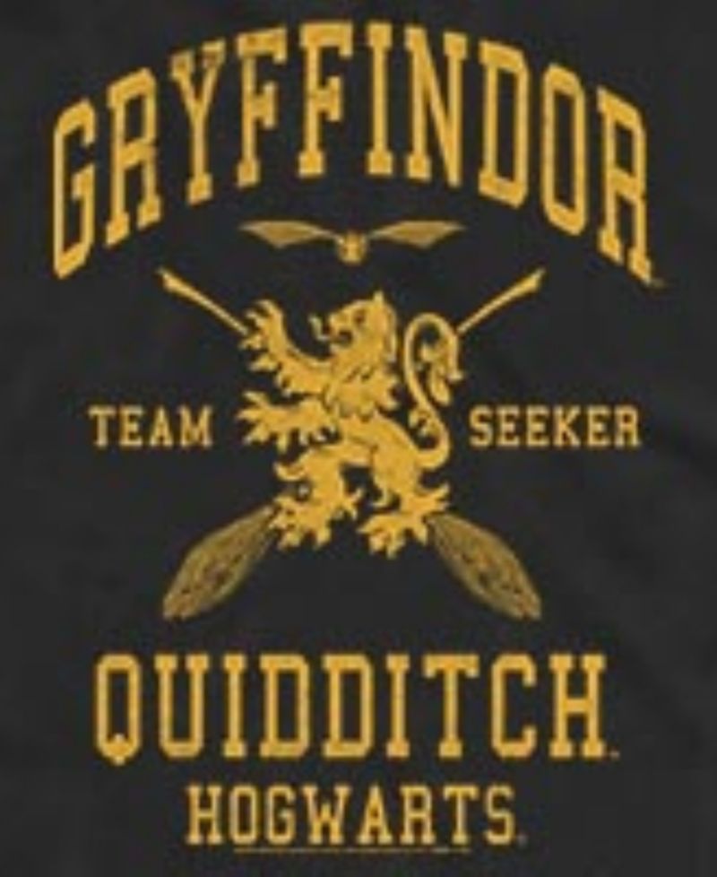 Men's Gryffindor Quidditch Seeker Hogwarts Graphic Tank Top