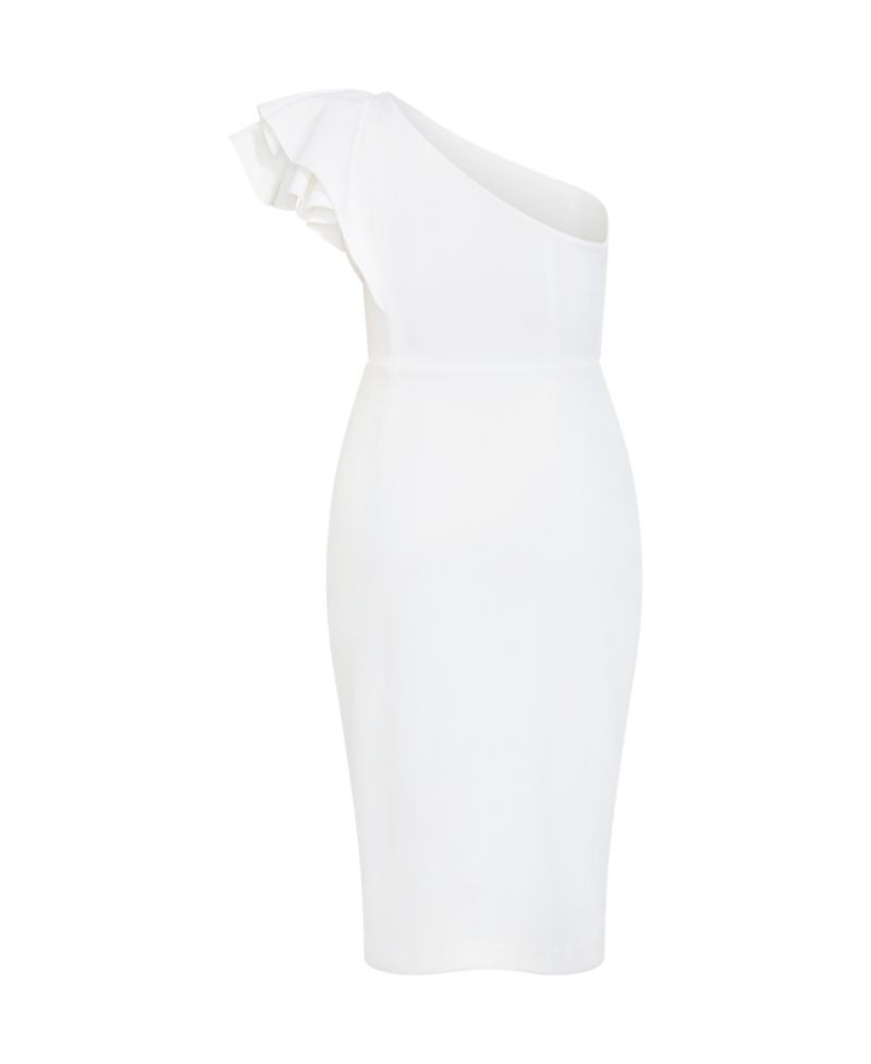 Plus Size Milani One Shoulder Dress