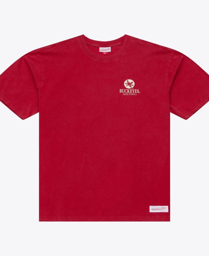 Men's Ohio State Buckeyes Core Icon T-Shirt