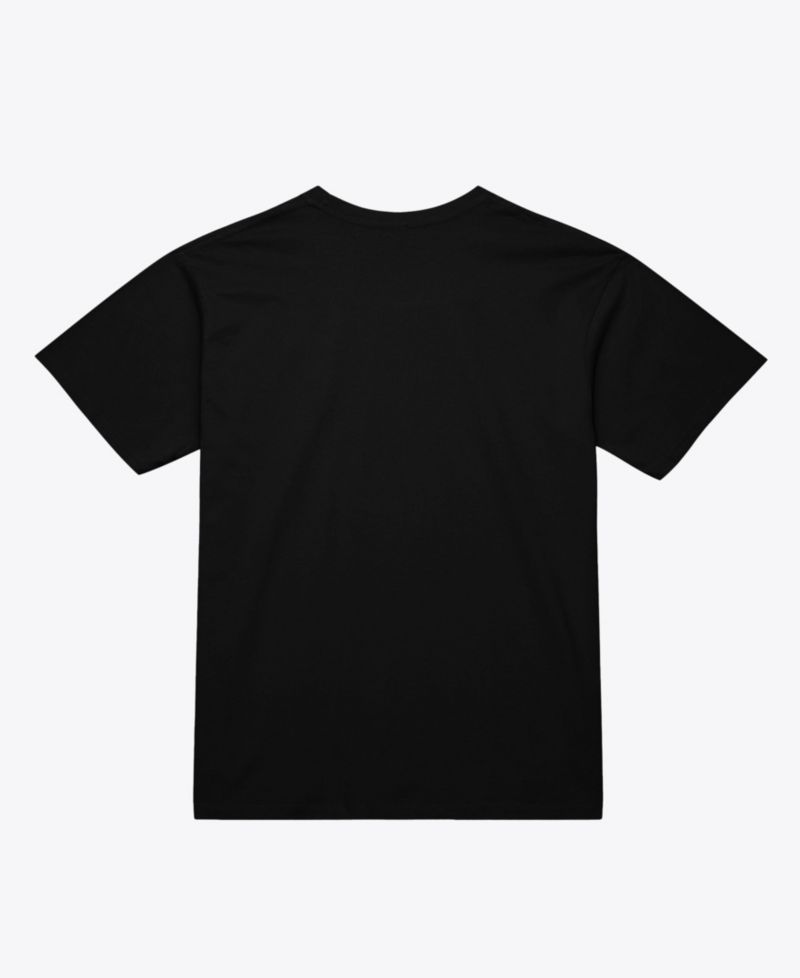 Men's and Women's Black Toronto Raptors Hardwood Classics Arch T-Shirt