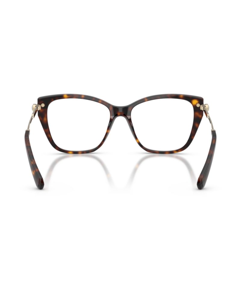 Woman Cat Eye Plastic SK2060 Eyeglasses