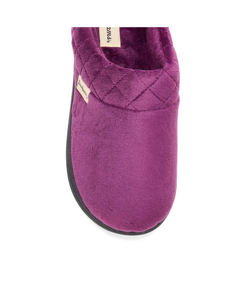 Women's Darcy Velour Clog Slippers