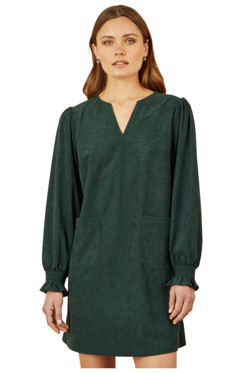 Women's Long Sleeve V-Neck Mini Dress