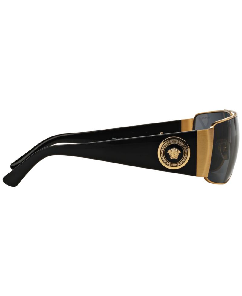 Polarized Sunglasses , VE2163