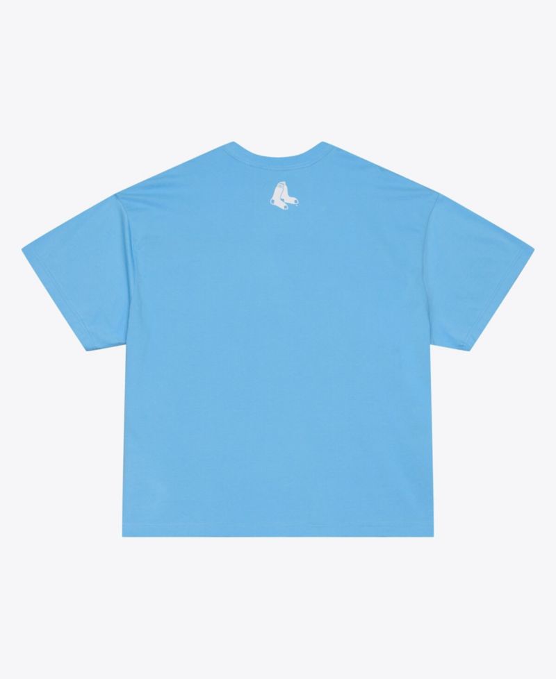 Men's Light Blue Boston Red Sox Insignia Premium T-Shirt