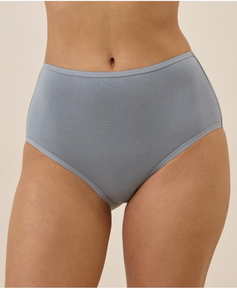 Women's Organic Cotton Everyday High Rise Brief 6-Pack