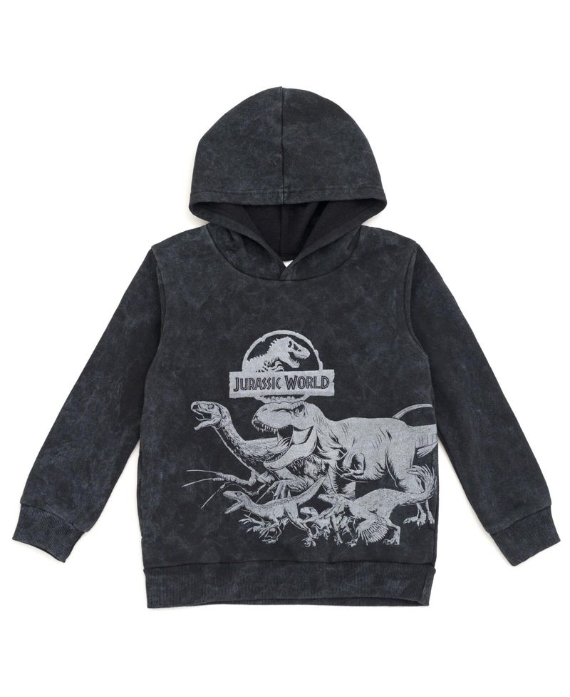 Boy's Dinosaur T-Rex Fleece Pullover Hoodie