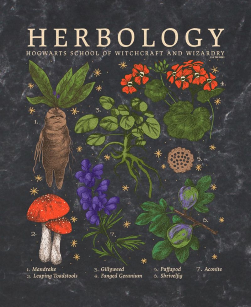 Men's Herbology Short Sleeve T-Shirt