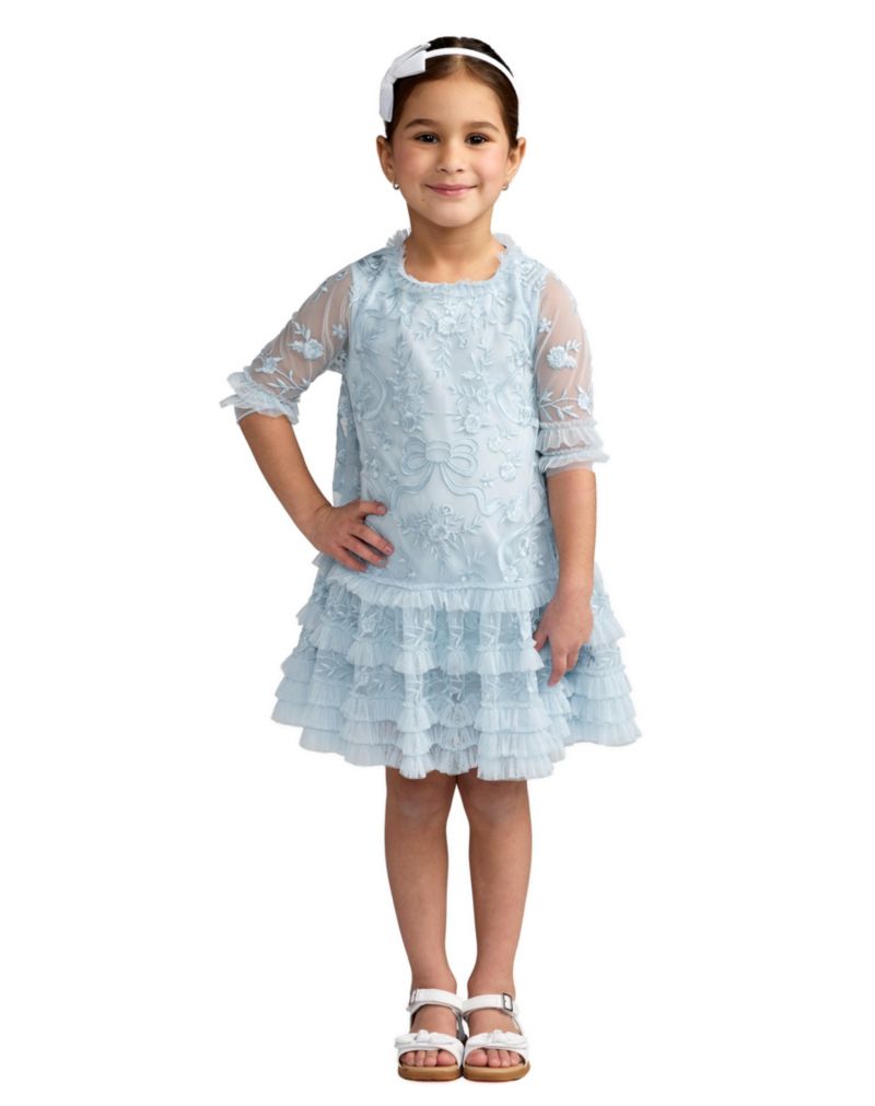 Little Girls Micro Ruffle Embroidered Mini Dress