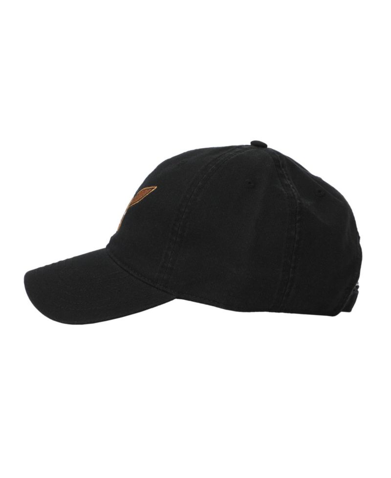 Men's Eevee Black Dad Hat