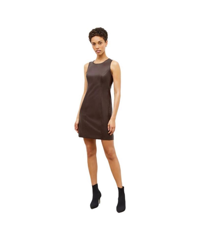 Petite Faux Leather Shift Dress with Princess Seams