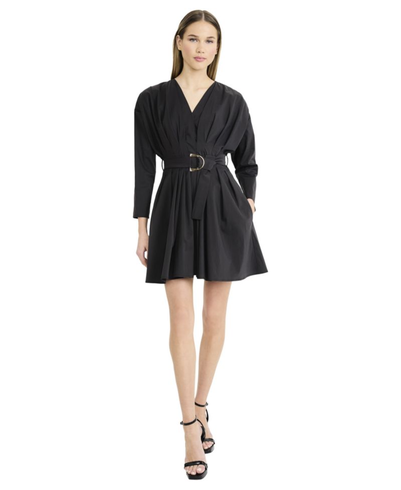 Women's Long-Sleeve V-Neck Mini Dress