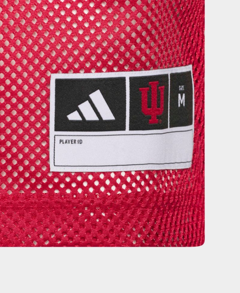 Big Boys and Girls Scarlet Indiana Hoosiers Tailgate Jersey