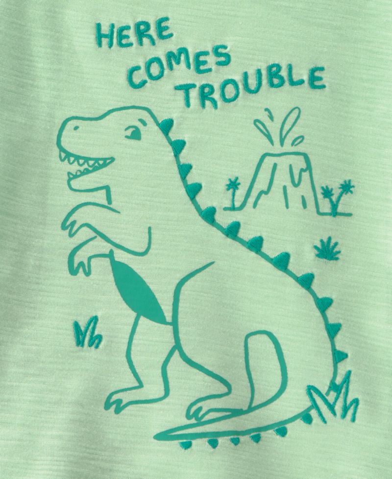 Baby Boys' Dinosaur T-Shirt and Shorts, 2-Piece Set