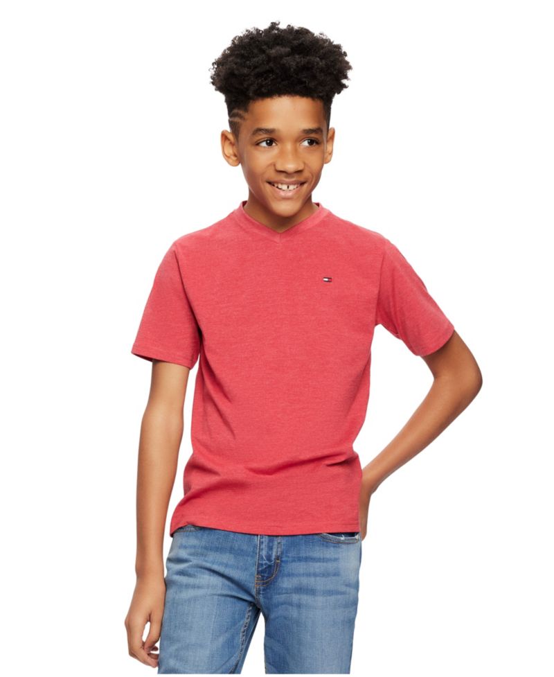 Toddler and Little Boys Embroidered Logo V-Neck Tee
