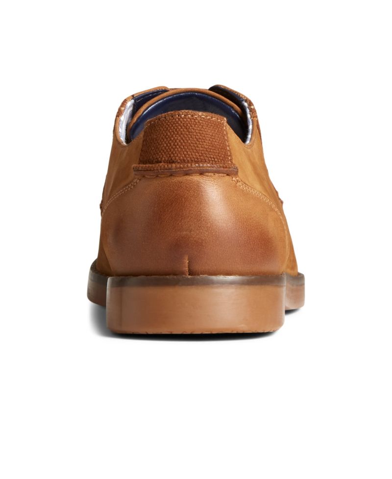 Men's Newman Dress Oxford Shoe