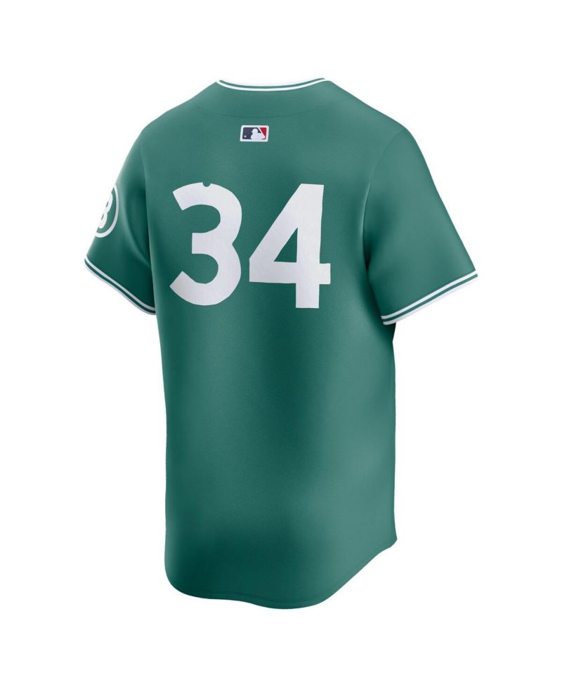 Men's David Ortiz Green Boston Red Sox 2025 City Connect Limited Player Jersey