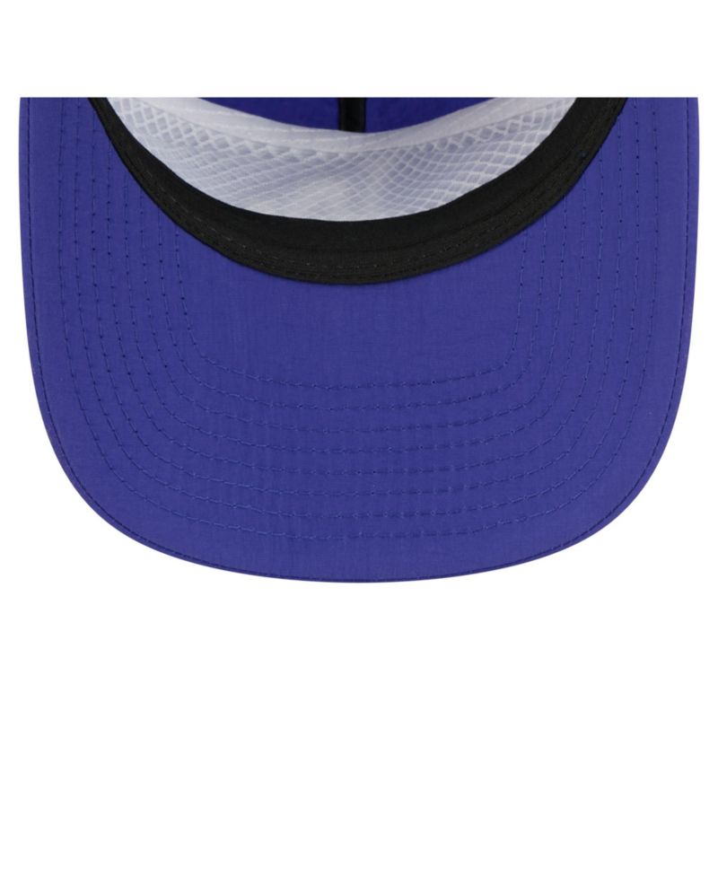 Men's Royal Los Angeles Dodgers Everyday 19TWENTY Adjustable Hat
