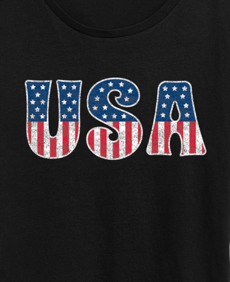 Plus Size Instant Message USA Flag Fill Graphic Crewneck T-Shirt