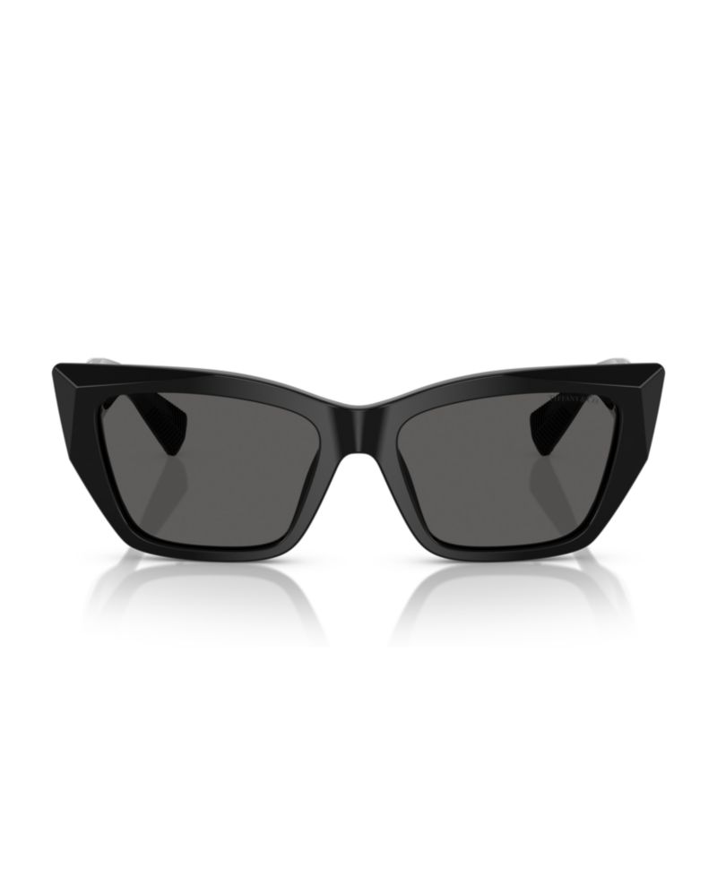 Women's Sunglasses TF4230