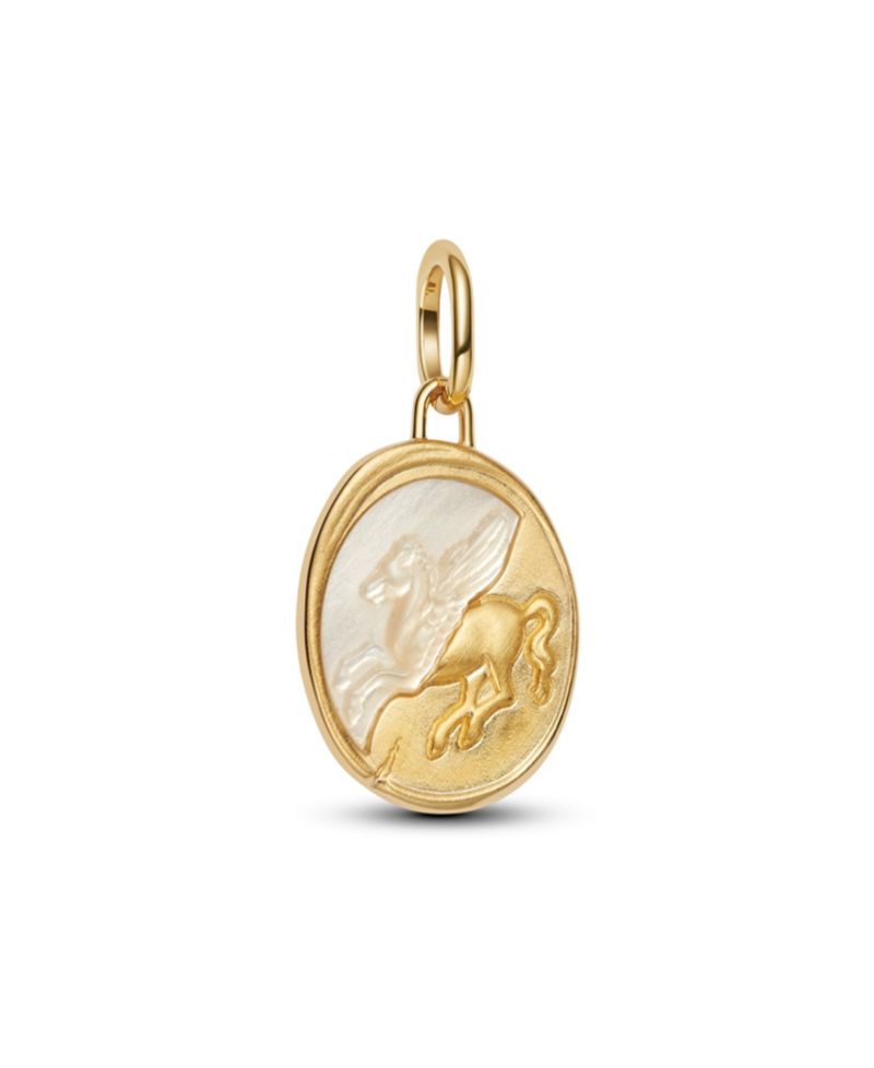 Two Tone Pegasus Medallion Charms