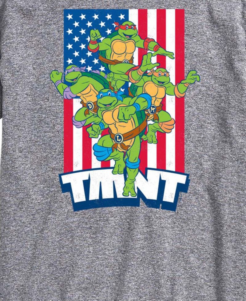 Men's Teenage Mutant Ninja Turtles Flag Short-Sleeve Graphic T-Shirt