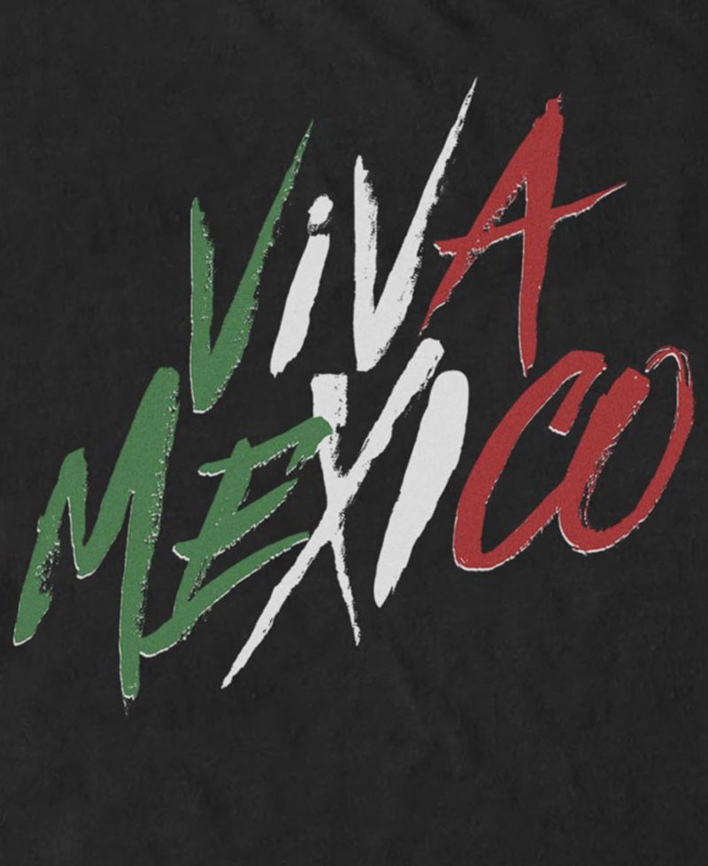 Men's Viva Mexico Type Graphic T-Shirt