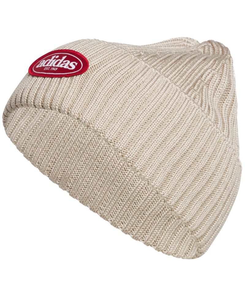 Men's Stretch Fit Ribbed Roam Beanie