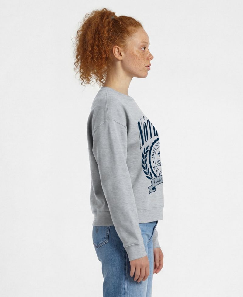 Women's Heather Gray Notre Dame Fighting Irish Academic Crest Powerblend Crewneck Sweatshirt