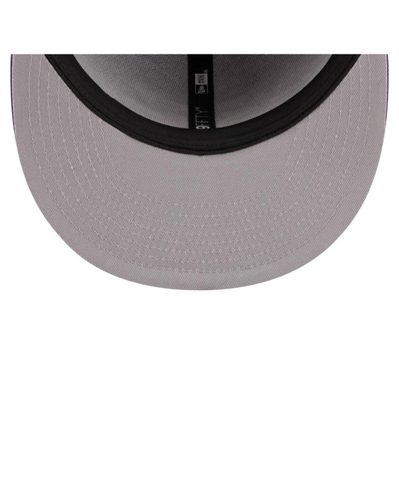 Men's Purple Minnesota Vikings Core Team Script 9FIFTY Snapback Hat