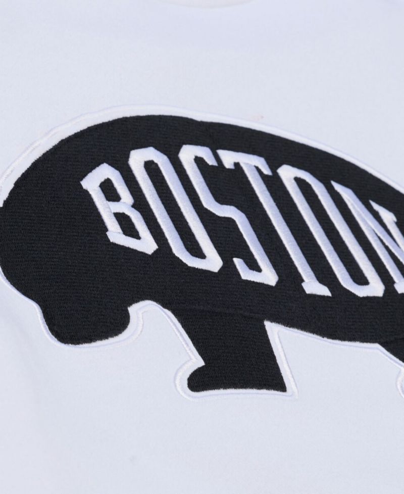 Men's White Boston Bruins Arctic Fleece Hoodie