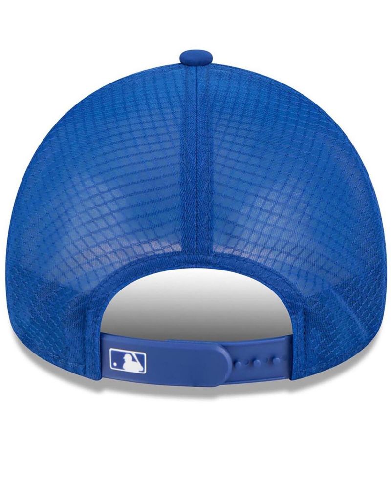 Men's Royal Chicago Cubs 2026 Batting Practice Alternate Apex 9FORTY Adjustable Hat