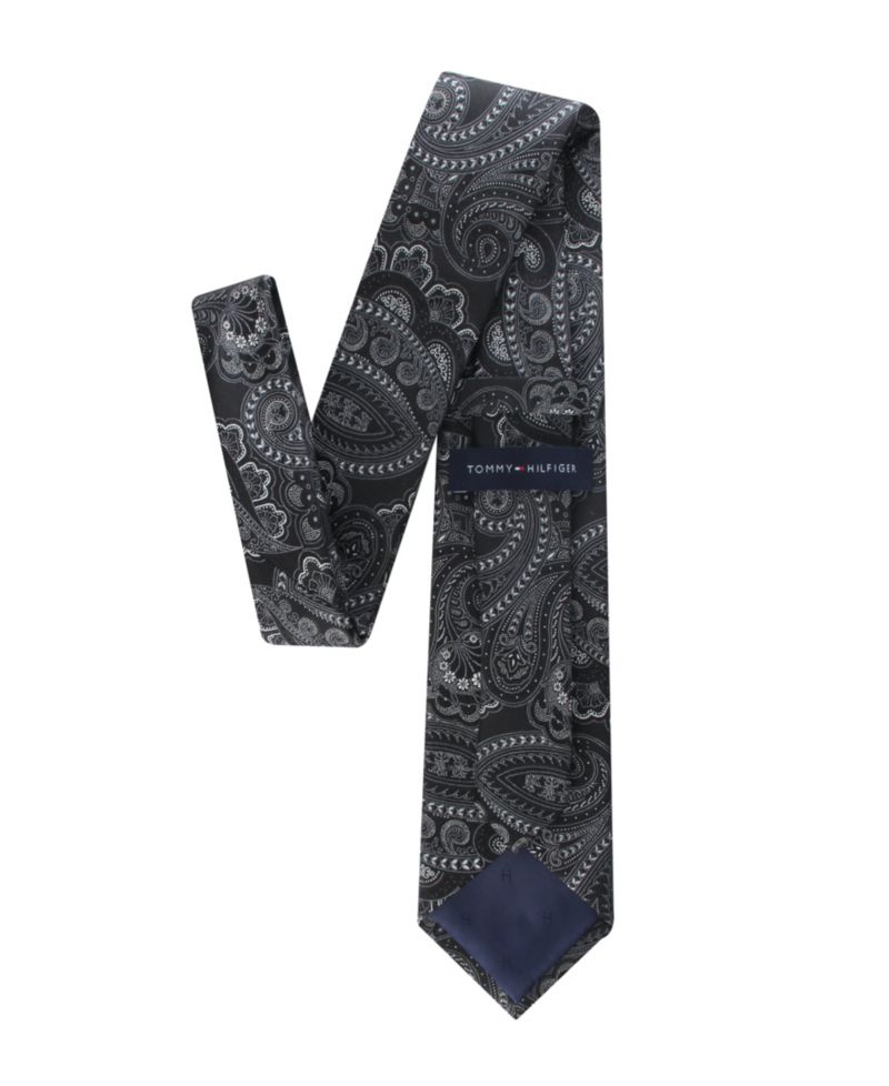 Men's Ballentine Paisley Tie