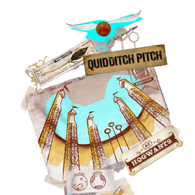 Men's Quidditch Pitch At Hogwarts T Shirt