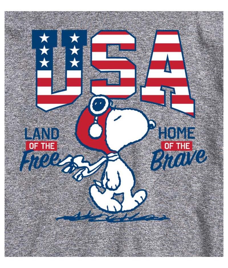 Hybrid Apparel Peanuts USA Mens Short Sleeve Tee