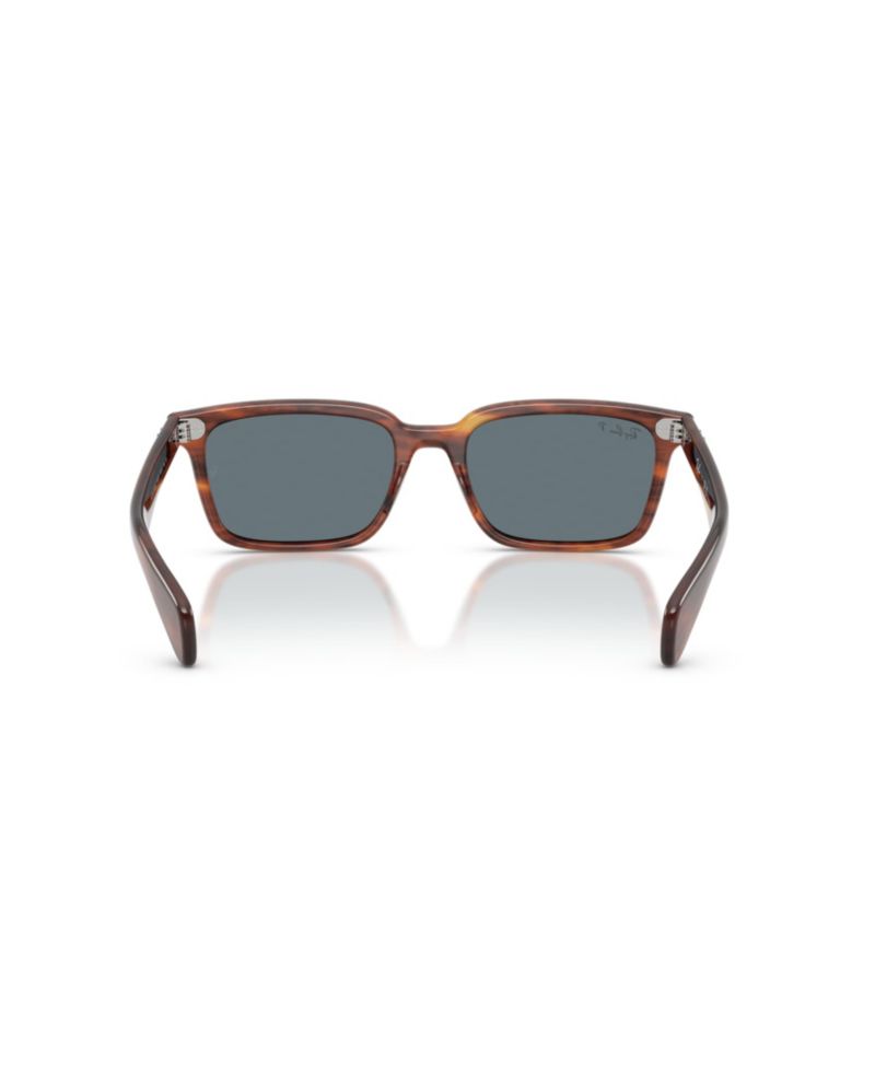 Polarized Tortoise Sunglasses RB2234