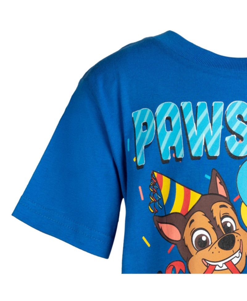 Nickelodeon Chase Birthday Boys Graphic T-Shirt Toddler| Child