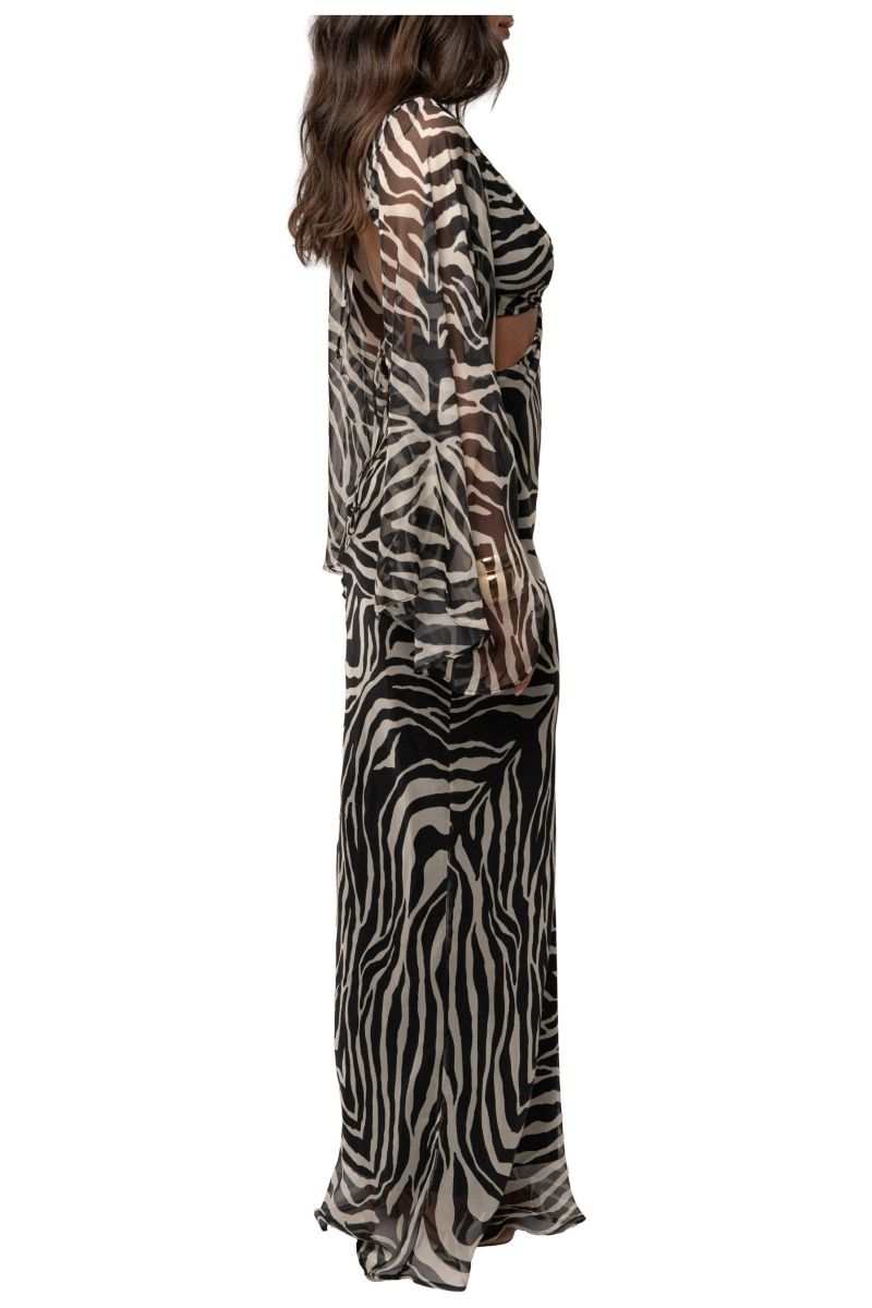 Women's Instincts Print Maxi Dress