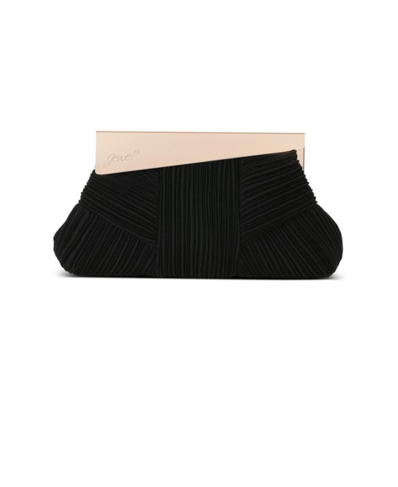 Woman's Millie Signature Frame Mini Pleated Satin Pouch