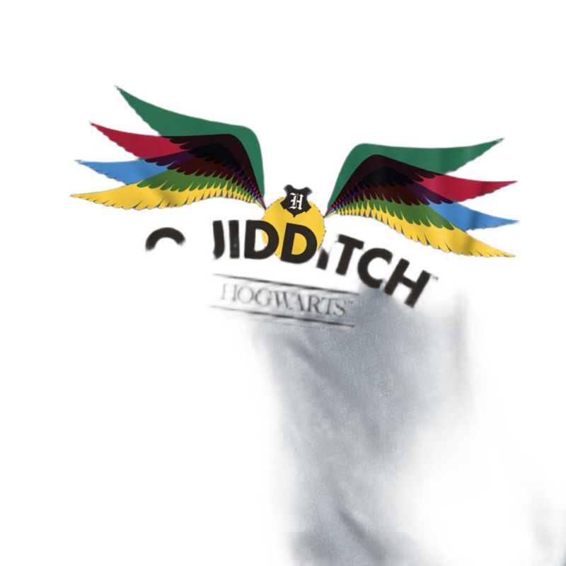 Men's Hogwarts Quidditch T Shirt