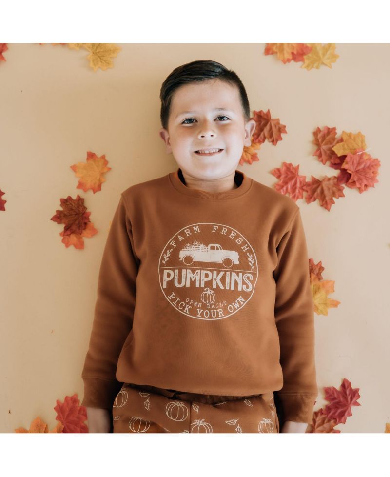 Little Boys Farm Fresh Pumpkins Sweatshirt