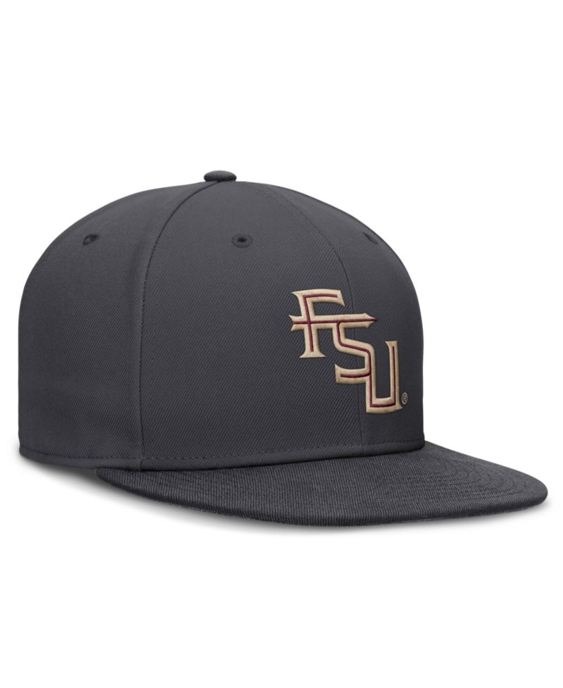 Men's Anthracite Florida State Seminoles Pro Dri-FIT Fitted Hat