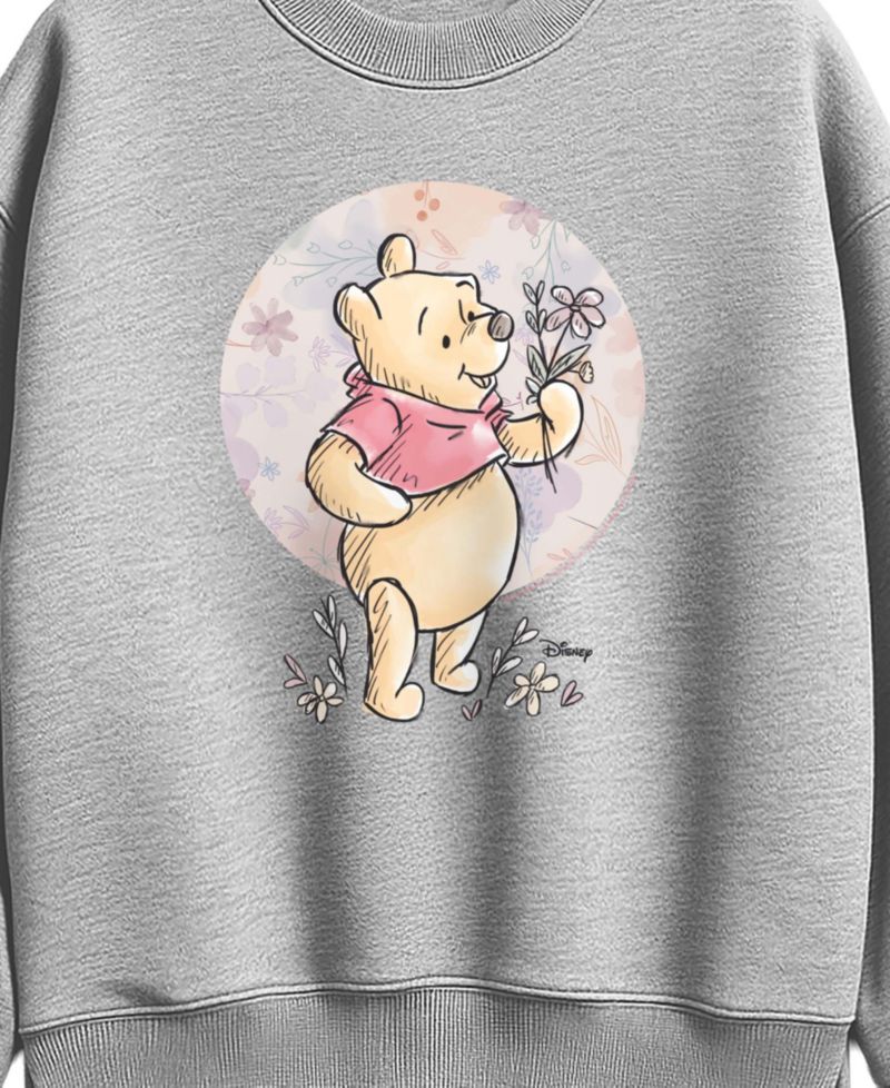 Plus Size Disney Graphic Crewneck Sweatshirt