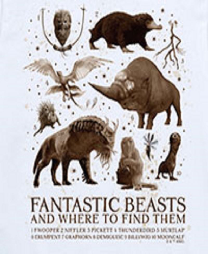 Big Boys Harry Potter Fantastic Beasts Graphic Tee