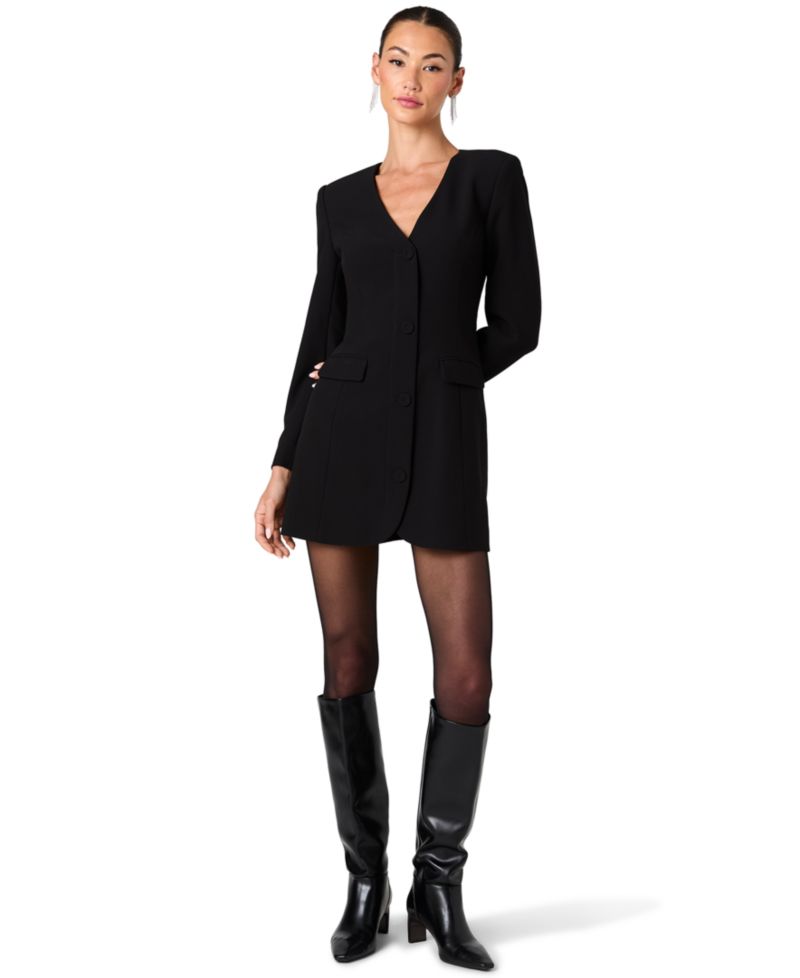 Women's Azra Mini V-Neck Long-Sleeve Dress