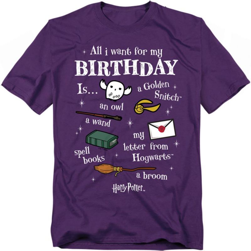 Men's Birthday Wishlist T Shirt