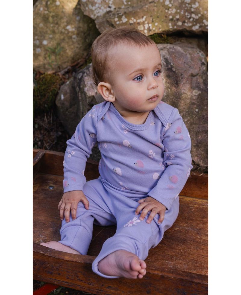 Baby Girls 3M TO 24M Cotton Onesie Hedgehog Print