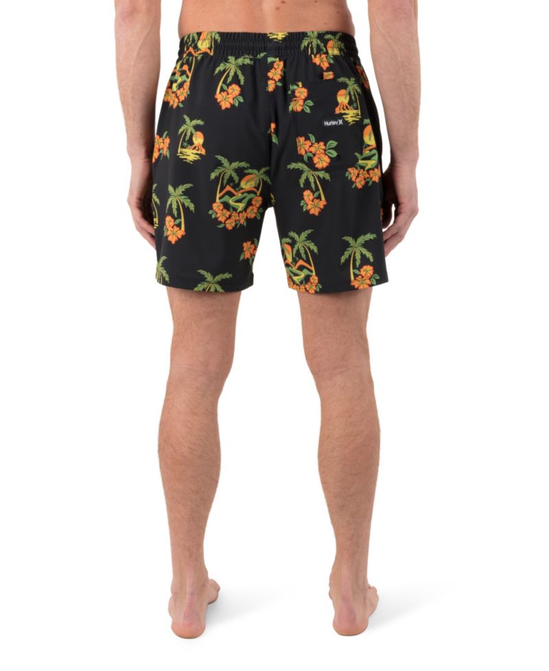 Men's Cannonball Volley 17 Boardshorts