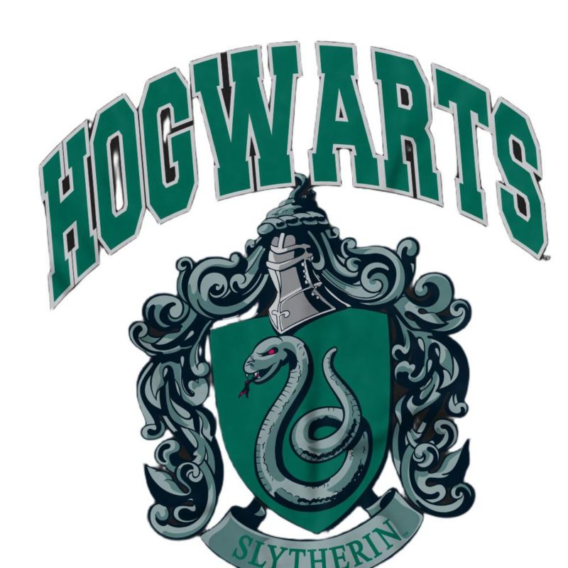 Men's Hogwarts Slytherin T Shirt